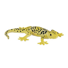 Mojo Leopard gekko