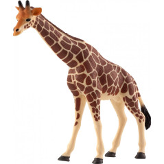 Mojo Giraf