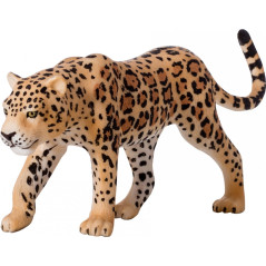 Mojo Leopard