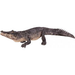 Mojo Alligator