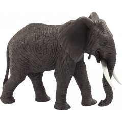 Mojo Afrikansk elefant