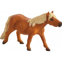 Mojo Shetland Pony