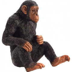 Mojo Chimpanse