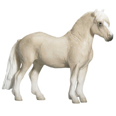 Mojo Welsh Pony