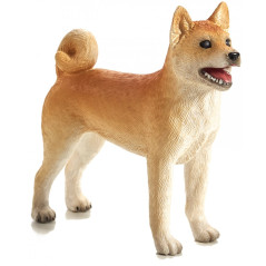 Mojo Shiba hund