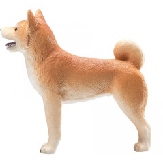 Mojo Shiba hund