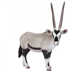 Mojo Oryx Antilope